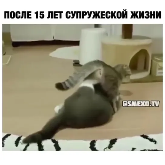 Когда давно не было секса