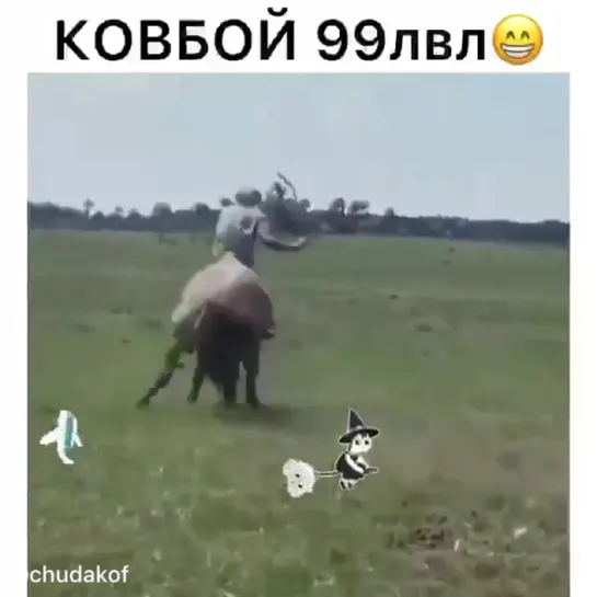 Трюк на лошади