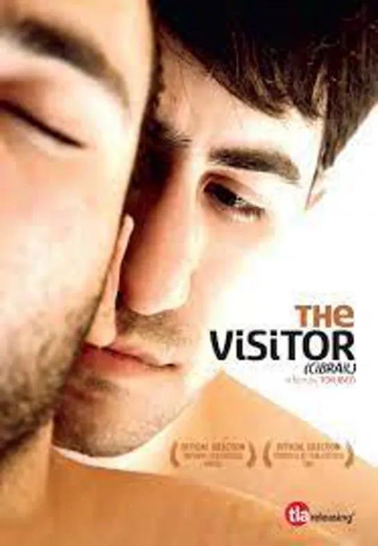 the visitor