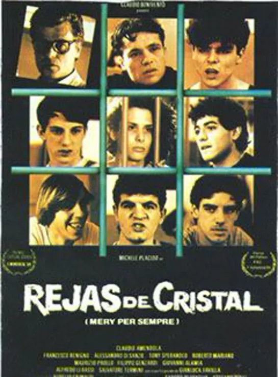 Rejas de cristal