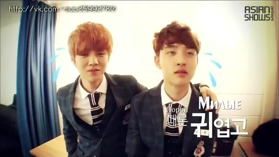 EXO - Showtime Preview (131111) [рус.саб]