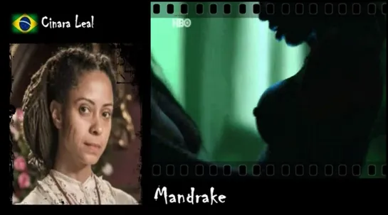 Cinara Leal - Mandrake