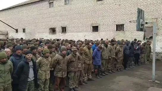 Украинские военные продолжают массово сдаваться в плен