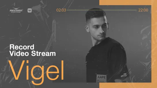 Record Video Stream | VIGEL