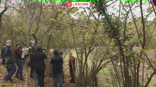 К пойманному в ловушку в Абхазии леопарду, приехали специалисты из Красной поляны