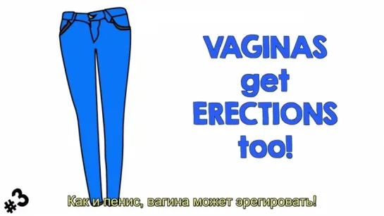 10 фактов о вагине ("10 SECRET VAGINA FACTS" by lacigreen)