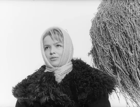 Письма к живым (1964)