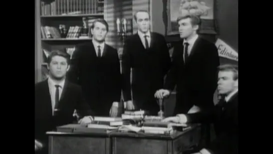 The Beach boys an American band (русский перевод.)