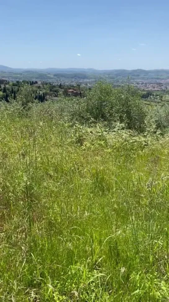 Видео от ВИДЕО КУНИЛИНГУС- БИСЕКСУАЛЫ-КУКОЛД