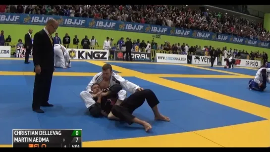 Martin Aedma vs Christian Dellevag 2016 IBJJF Europeans