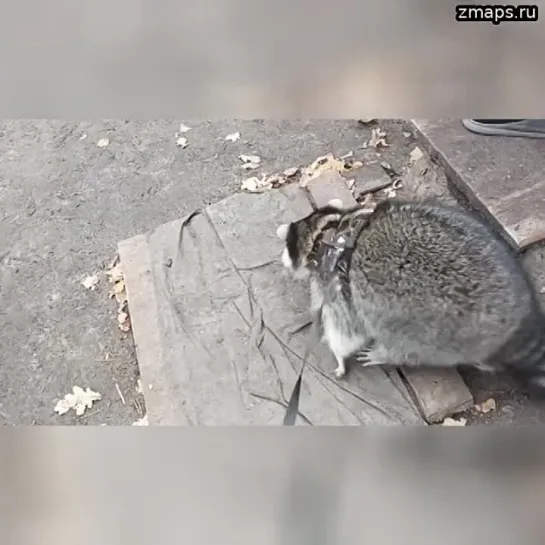 Так, друзья! Всем мыться и спать! Я тоже с парнями в баньку схожу