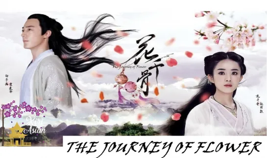 THE JOURNEY OF FLOWER 50 FINAL