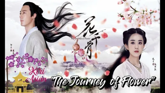 THE JOURNEY OF FLOWER 22