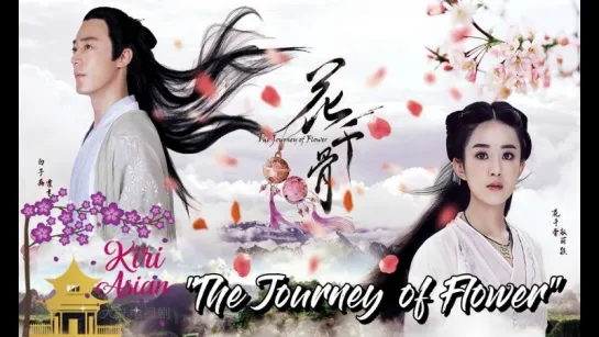 THE JOURNEY OF FLOWER 21