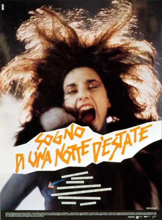 Sogno di una notte destate (1983)