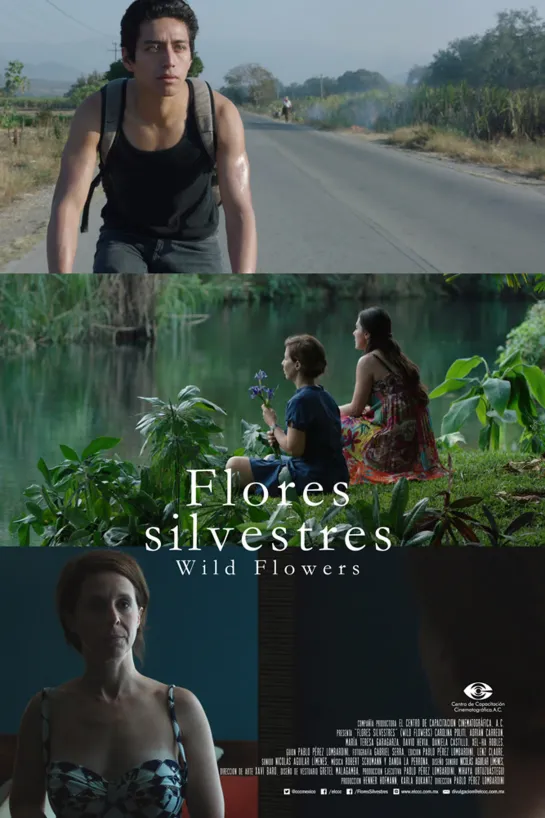 Полевые цветы _ Flores silvestres _ Wild Flowers (2015) Мексика