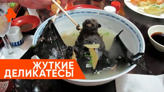 «Невероятно интересные истории»: каковы на вкус летучие мыши и медведи? Обратная сторона рынков Азии.