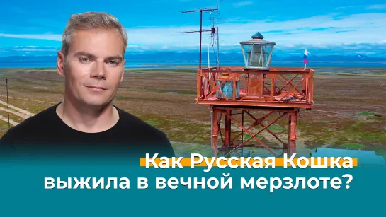 Как Русская Кошка выжила в вечной мерзлоте?