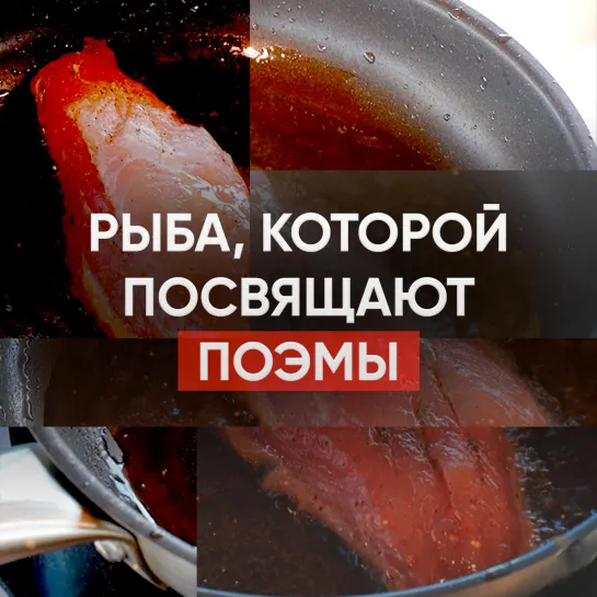 Рыба, которой посвящают поэмы