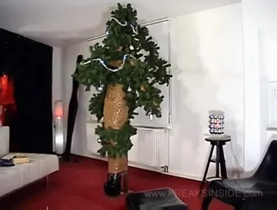 Christmas tree bondage