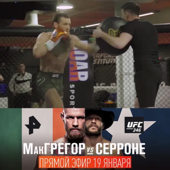 #UFC 246: Серроне против МакГрегора/#РЕНТВ