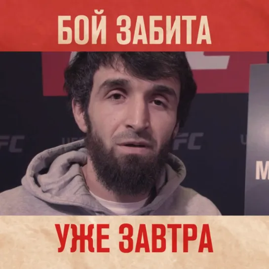 Бои UFC: Забит Магомедшарипов