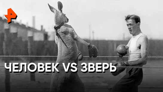 «Неизвестная история»: человек vs зверь