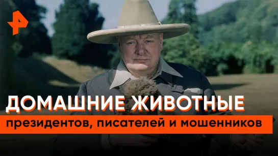 «Неизвестная история»: домашние животные президентов, писателей и известных мошенников»