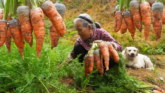 🌽🌾🥕 Сад-огород (12) бабушки Юлин и собаки Гоу «ДуДу»...🍆🌾🥒