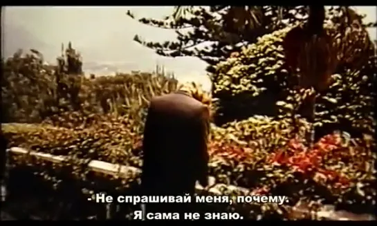 Непристойное зеркало (1973)