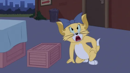 The.Tom.And.Jerry.Show.S02E76.1080p.WEB.x264.DD+2.0.MultiSink-BD4YU