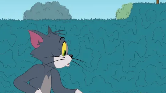 The.Tom.And.Jerry.Show.S02E72.1080p.WEB.x264.DD+2.0.MultiSink-BD4YU