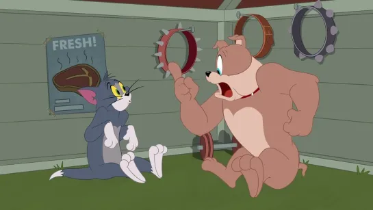 The.Tom.And.Jerry.Show.S03E17.1080p.WEB.x264.DD 2.0.MultiSink-BD4YU