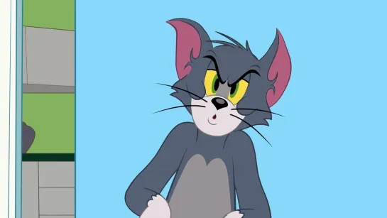 The.Tom.And.Jerry.Show.S03E15.1080p.WEB.x264.DD+2.0.MultiSink-BD4YU