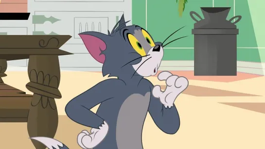 The.Tom.And.Jerry.Show.S03E07.1080p.WEB.x264.DD 2.0.MultiSink-BD4YU