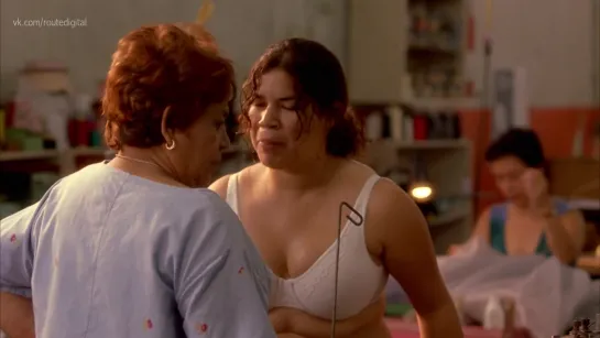 America Ferrera - Real Women Have Curves (2002) HD 1080p Nude? Sexy! Watch Online