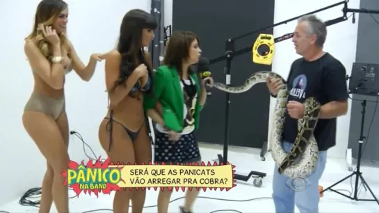 Panicats Segurando a Cobra Panico na Band | Brazilian Girls vk.com/braziliangirls