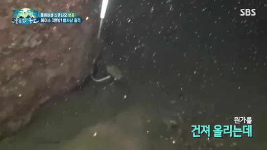 Law of the Jungle 210109 Episode 433