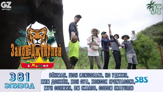 Law of the Jungle 381\ Закон Джунглей 381