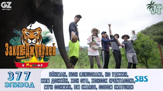 Law of the Jungle 377\ Закон Джунглей 377