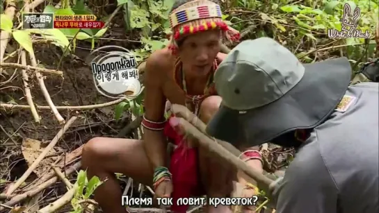 [Суматра] Law of the Jungle 262/Закон Джунглей 262