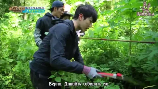 [Кота Манадо] Law of the Jungle 253/Закон Джунглей 253