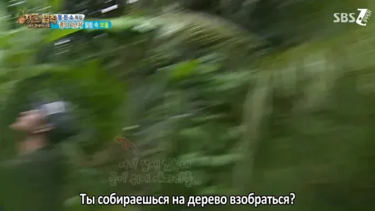 Law of The Jungle / Закон Джунглей в Кота Манадо Ep.252 [рус.саб]