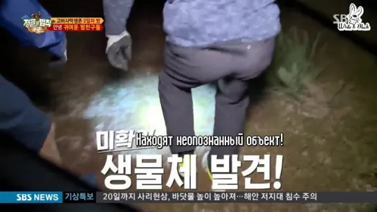 [Монголия] Law of the Jungle 231 / Закон Джунглей 231