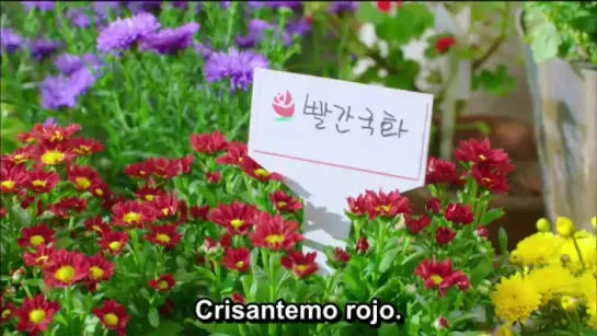 To the Beautiful You (Hana Kimi Korean Version) //Episode 14// Empire Asian Fansub