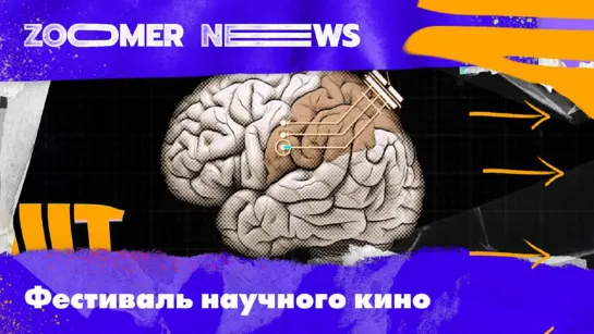 Zoomer News: Фестиваль актуального научного кино ФАНК в «Иллюзионе»