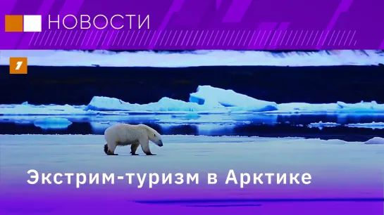 Нейросеть как оценщик физических данных спортсменов// Экстрим-туризм в Арктике// Перекупщики билетов теряют бизнес