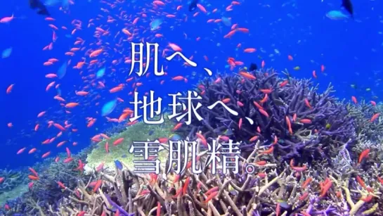 [CM] Aragaki Yui - Sekkisei SAVE the BLUE 2013