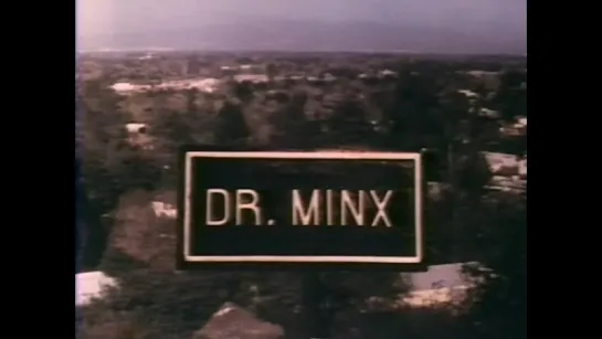 Dr. Minx (1975, USA, dir. Howard Avedis)