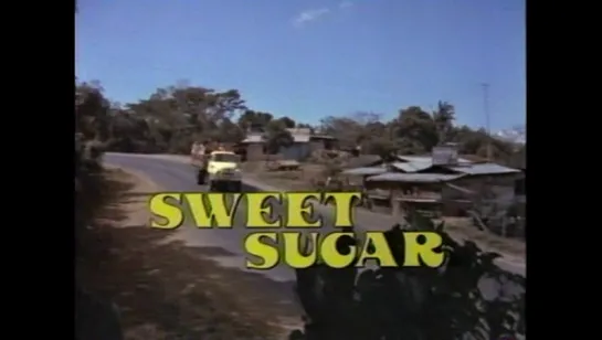 Сладкая Милашка/Sweet Sugar (1972, США, реж. Мишель Левески)